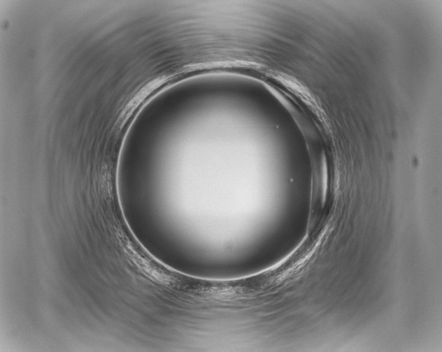 X0000059061177200510101041