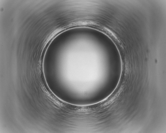 X0000059061178200510101041