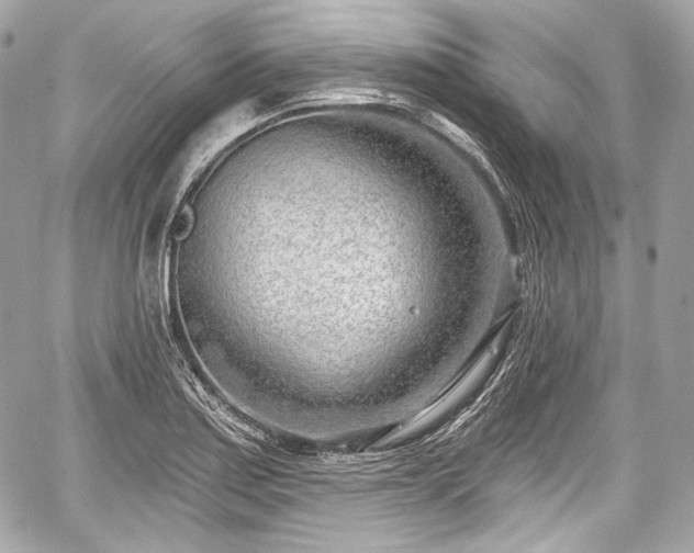 X0000059061179200510101041