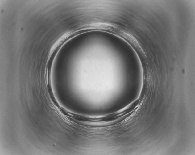 X0000059061180200510101041