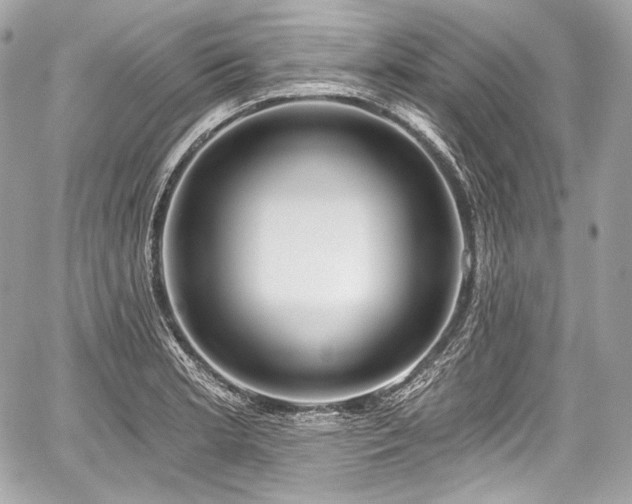 X0000059061181200510101041