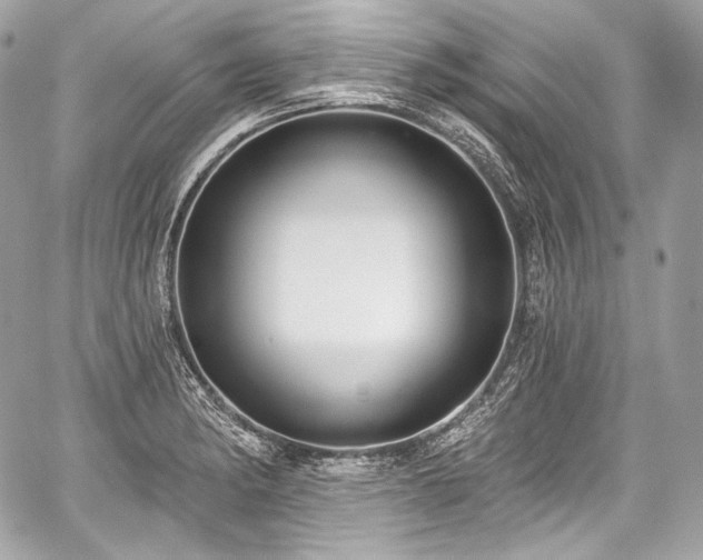 X0000059061182200510101041