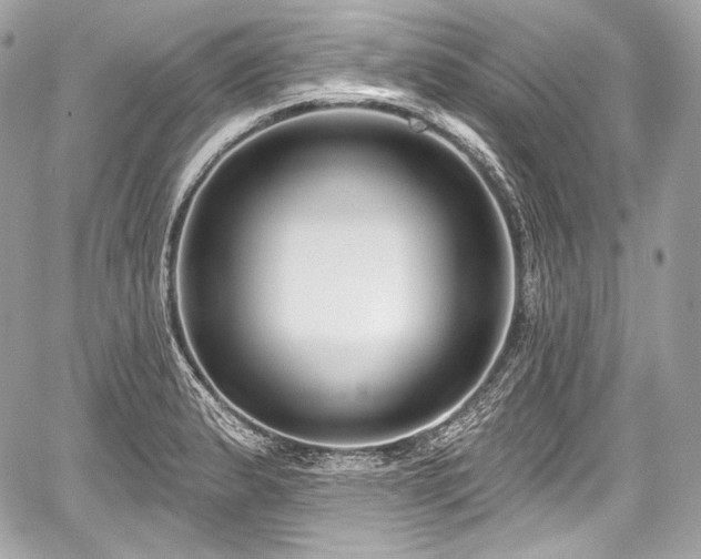 X0000059061183200510101041