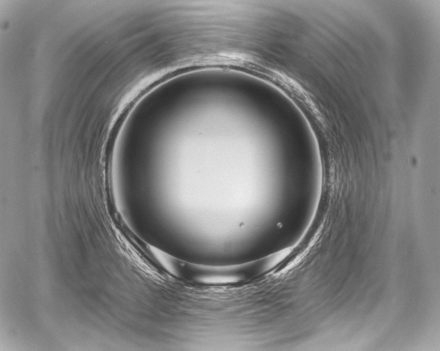 X0000059061184200510101041