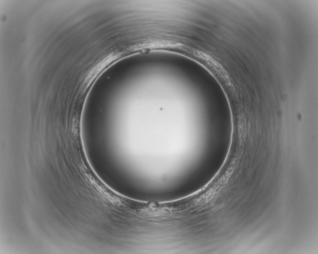 X0000059061185200510101041