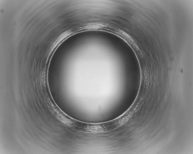 X0000059061186200510101041