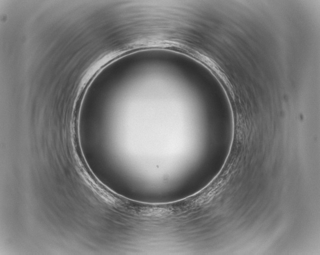 X0000059061187200510101041