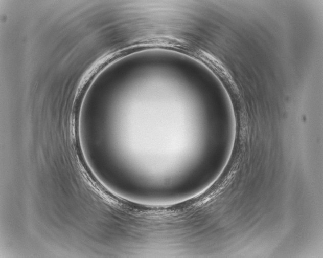 X0000059061188200510101040