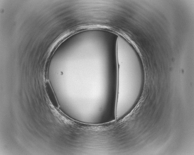 X0000059061189200510101040