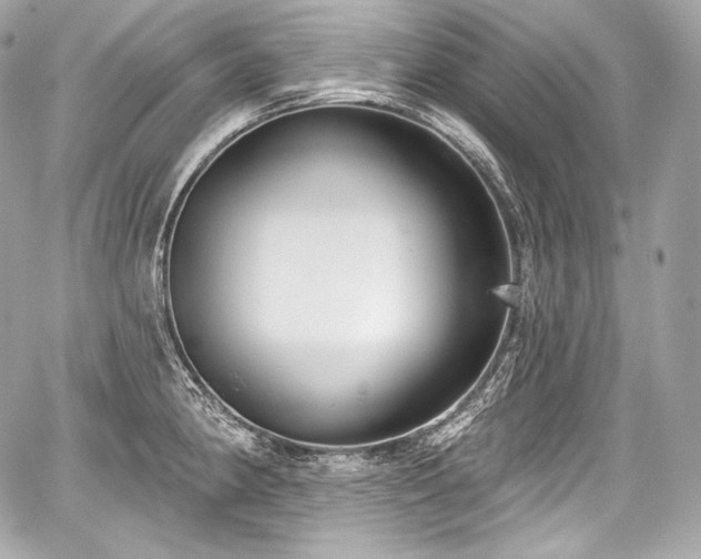 X0000059061190200510101040