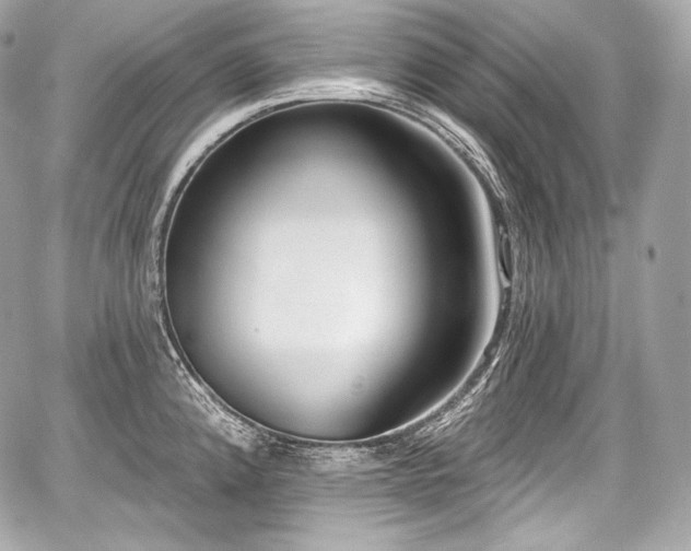 X0000059061192200510101040