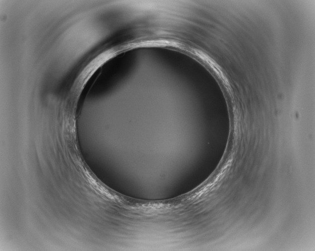 X0000059061193200510101040