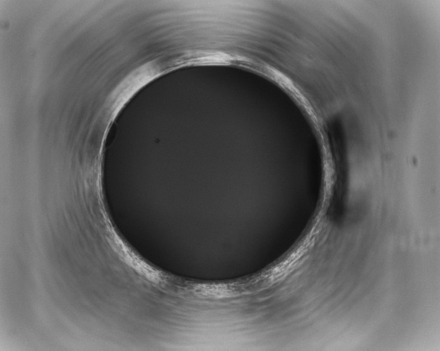 X0000059061194200510101040