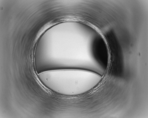 X0000059061195200510101040