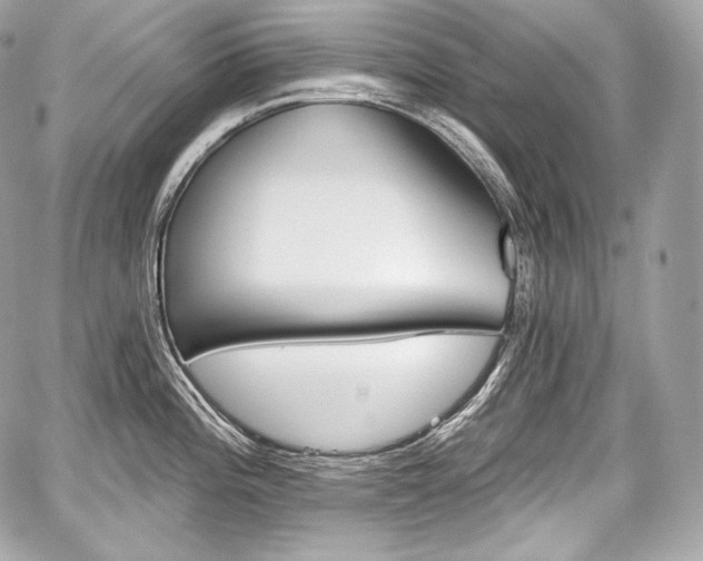 X0000059061196200510101040