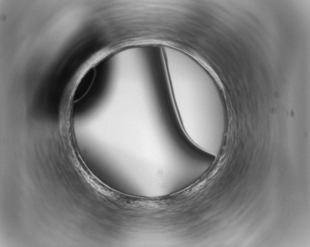 X0000059061197200510101040