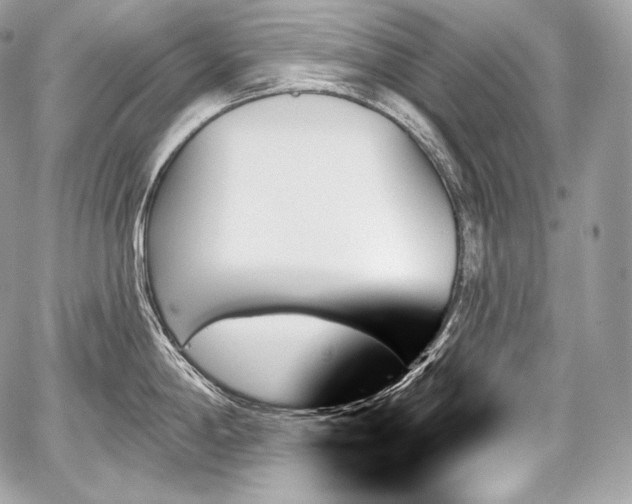 X0000059061198200510101040