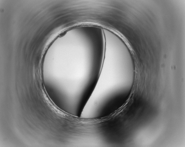 X0000059061199200510101040