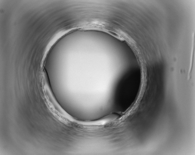 X0000059061200200510101040