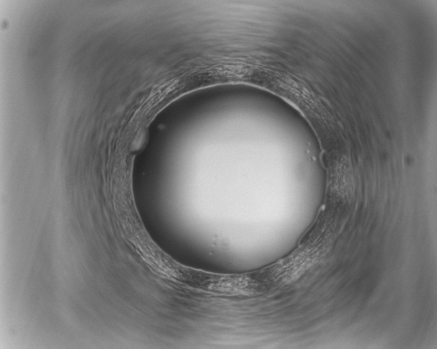 X0000059061201200510101039