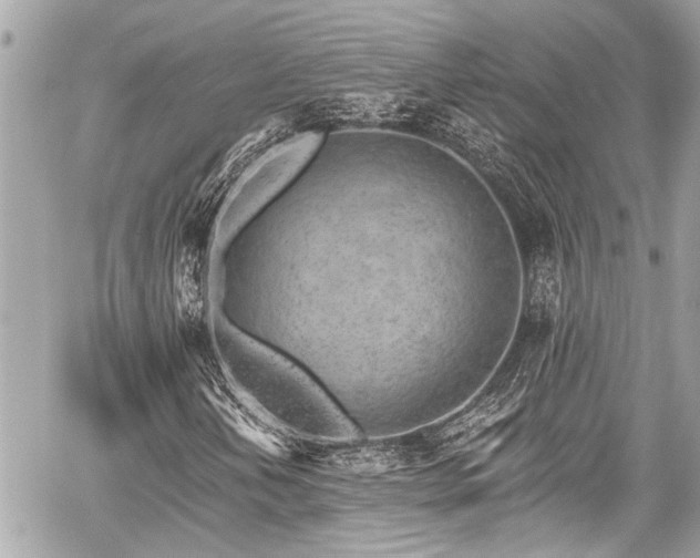 X0000059061202200510101039