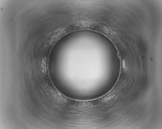 X0000059061203200510101040