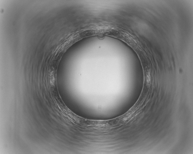 X0000059061204200510101040