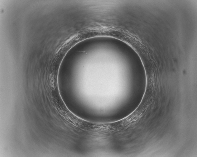 X0000059061205200510101040