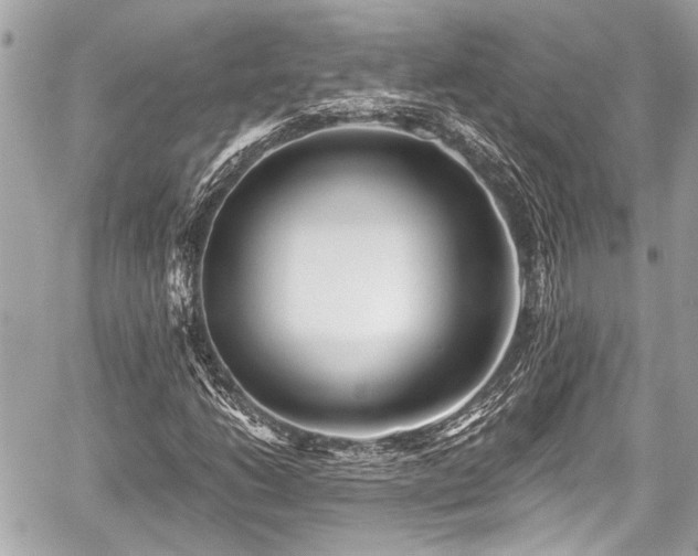 X0000059061206200510101040