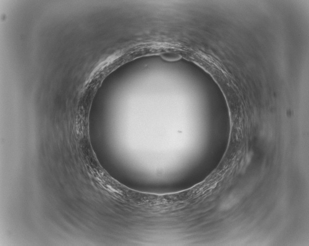 X0000059061207200510101040