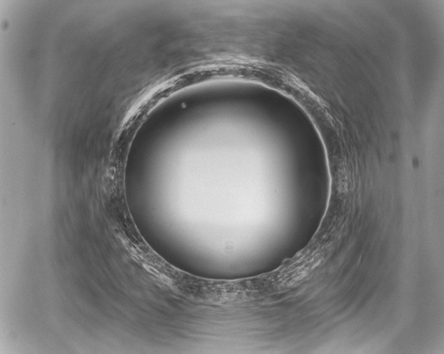 X0000059061208200510101040