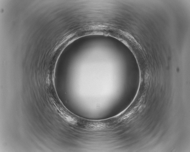 X0000059061209200510101040