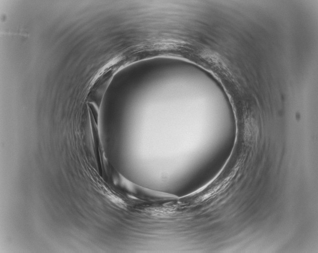 X0000059061210200510101040