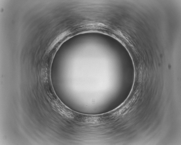 X0000059061211200510101040