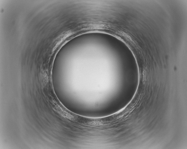 X0000059061212200510101040