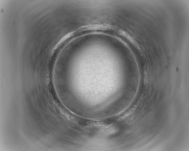 X0000059061213200510101040