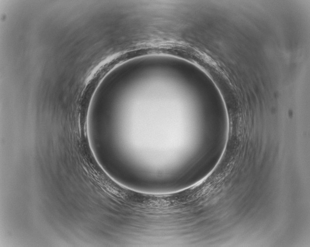 X0000059061214200510101040