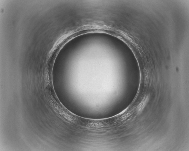 X0000059061215200510101040