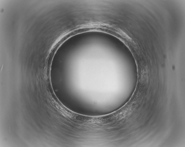 X0000059061216200510101040