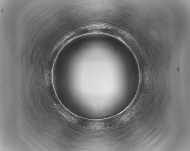 X0000059061217200510101040