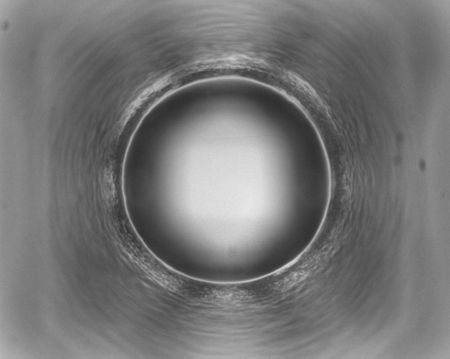 X0000059061218200510101040