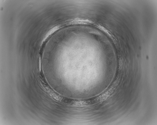 X0000059061219200510101040