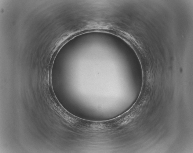 X0000059061220200510101040