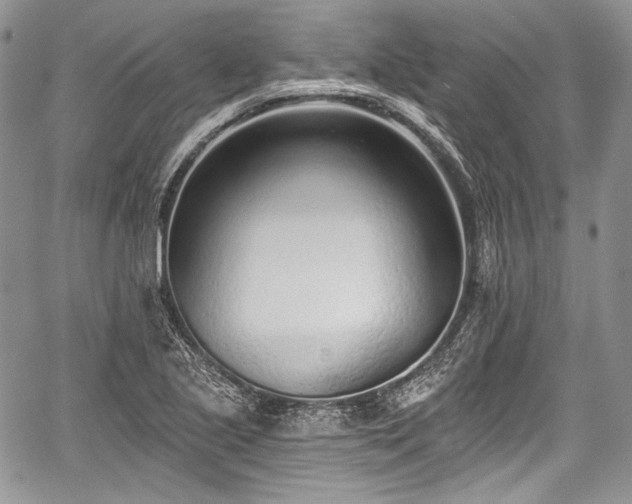 X0000059061221200510101040