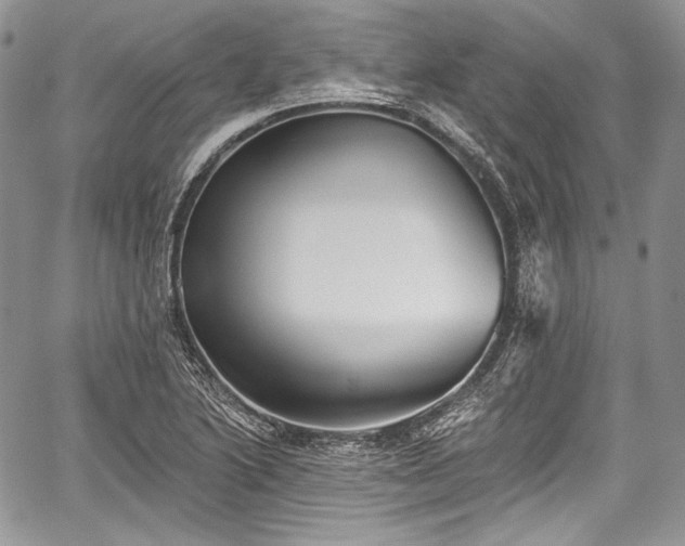 X0000059061222200510101040