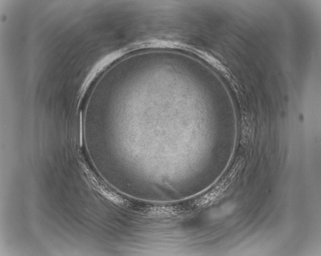 X0000059061223200510101040