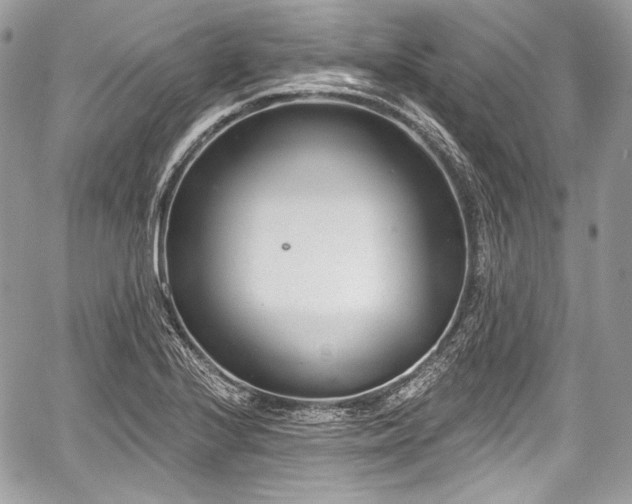 X0000059061224200510101040