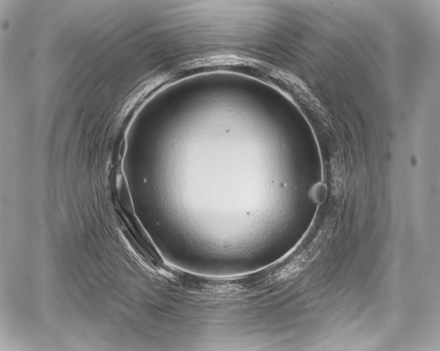 X0000059061225200510101040