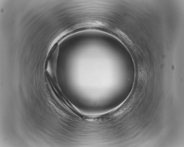 X0000059061226200510101040