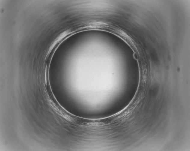 X0000059061227200510101040